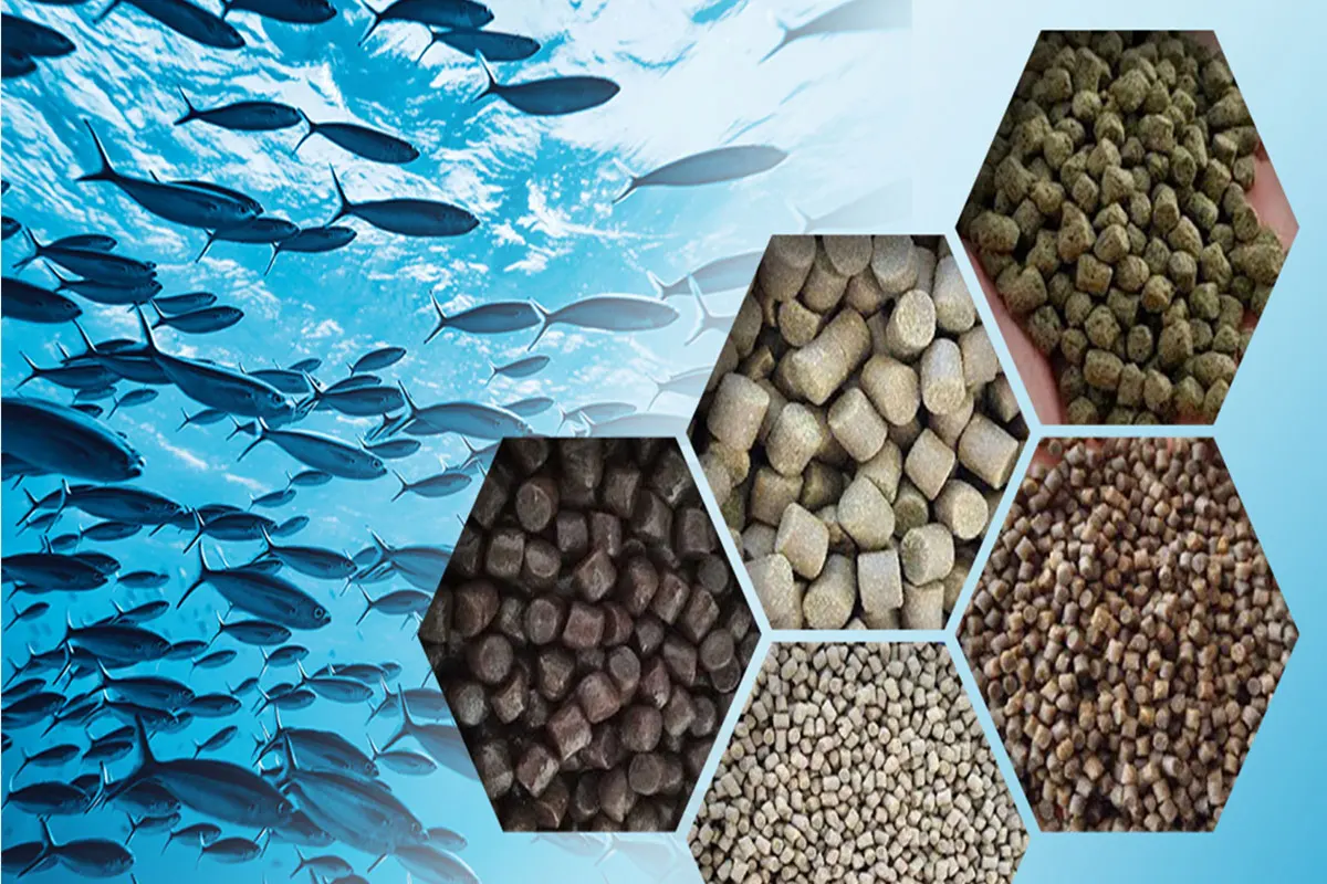 Floating Fish Feed