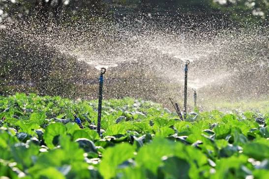 Irrigation Sprinklers - Garden Sprinkler System Latest Price