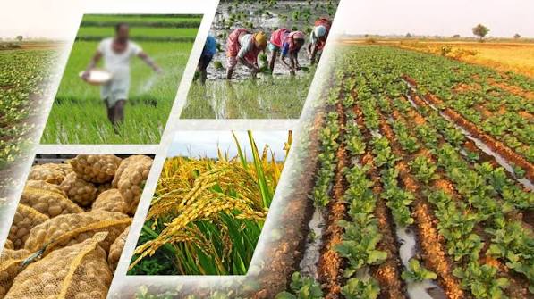 best agro products in india