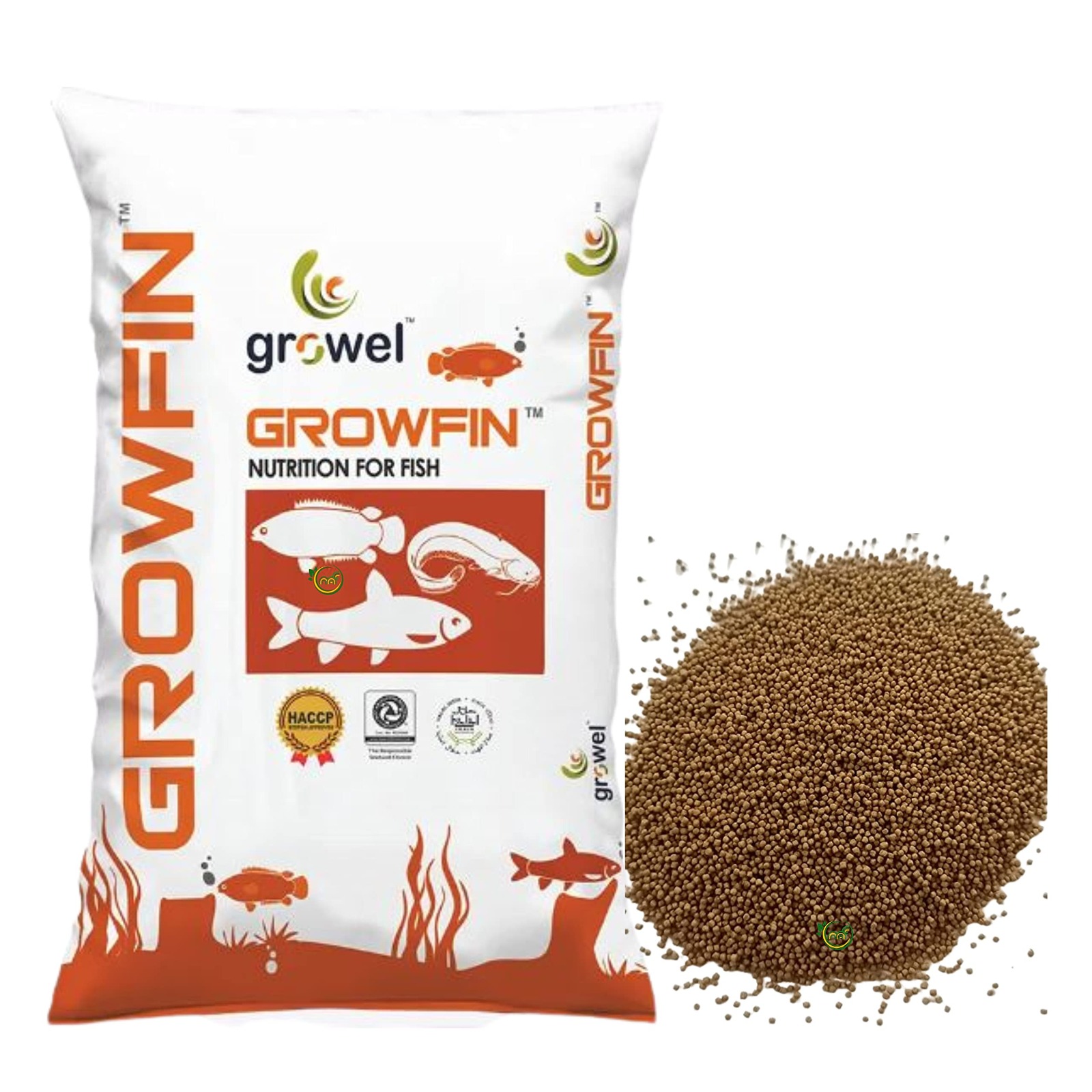 Fish Feed