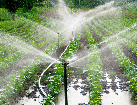 Sprinkler Irrigation System