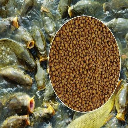 Suitable for Multiple Fish Species
