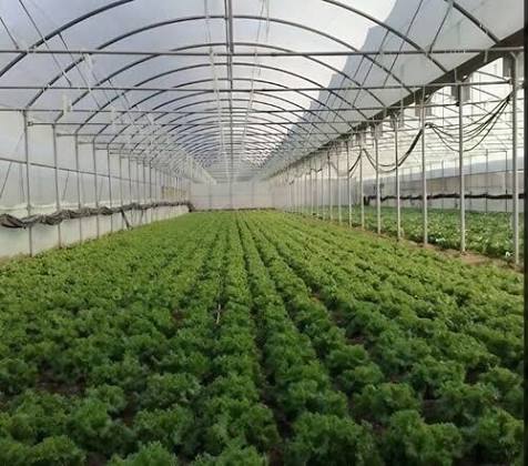 Controlled Growing Environment