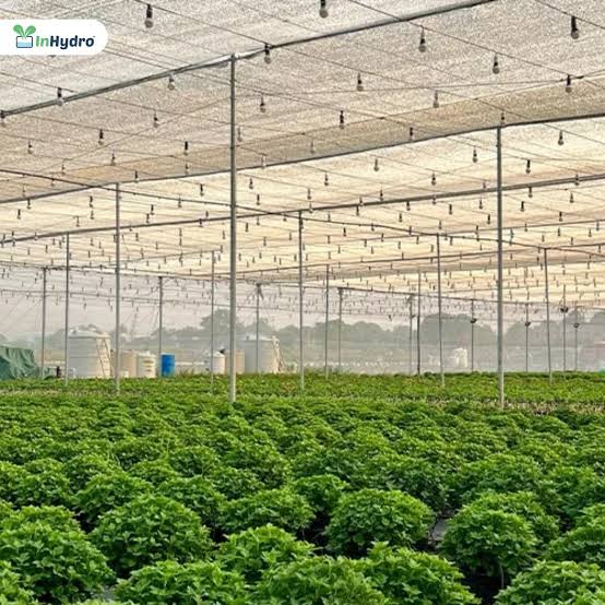 Higher Crop Yield