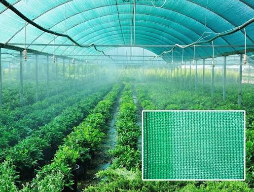 Protection from Insects and Birds