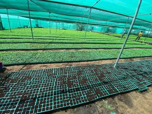 Improves Crop Quality
