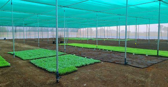 Cost-Effective Farming Solution