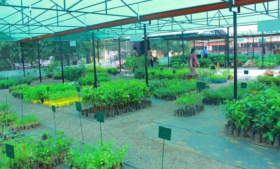 Higher Crop Productivity