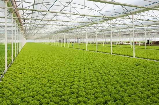 Suitable for High-Value Crops