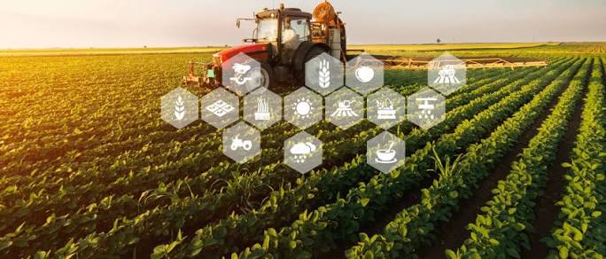 Improves Crop Productivity